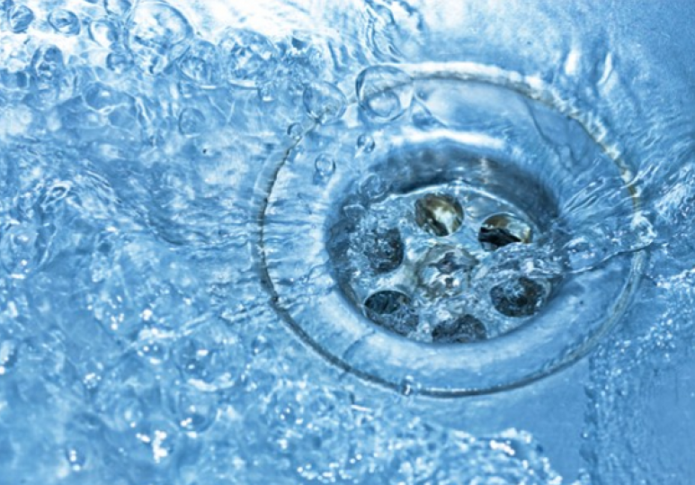 Sewer Problem Advice