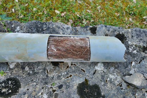 A pipe blocked with tree roots.